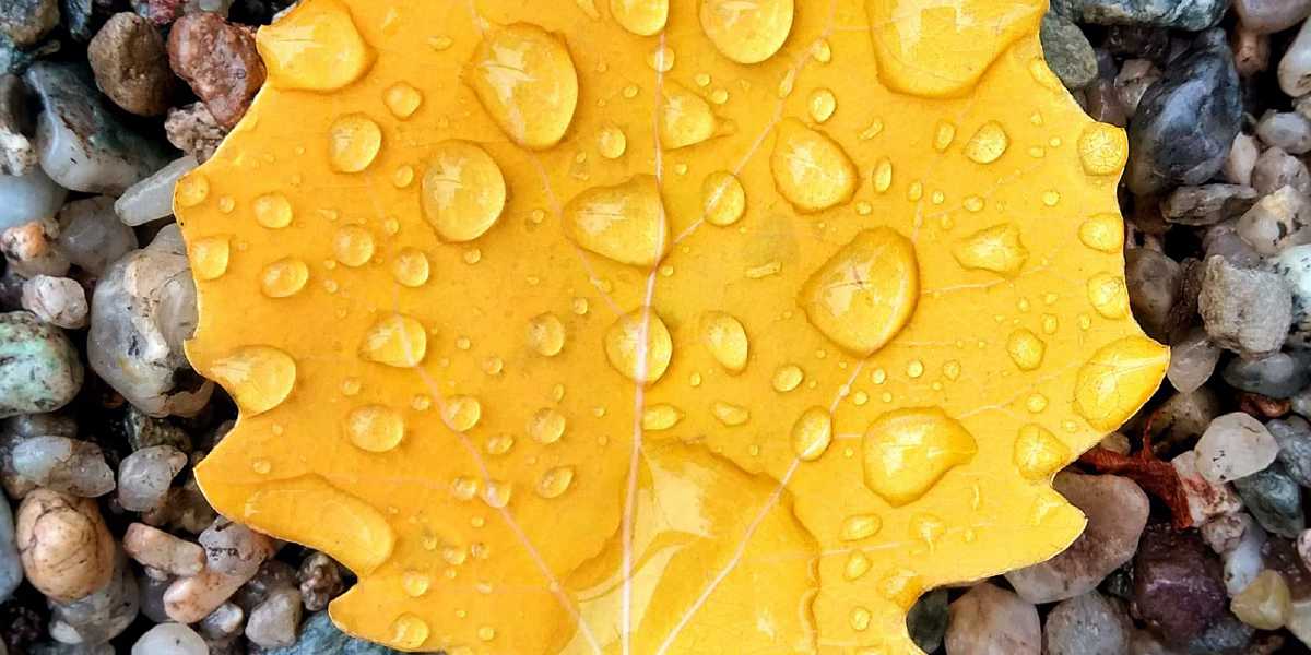 Places to visit with kids in Singapore (grouped by age)